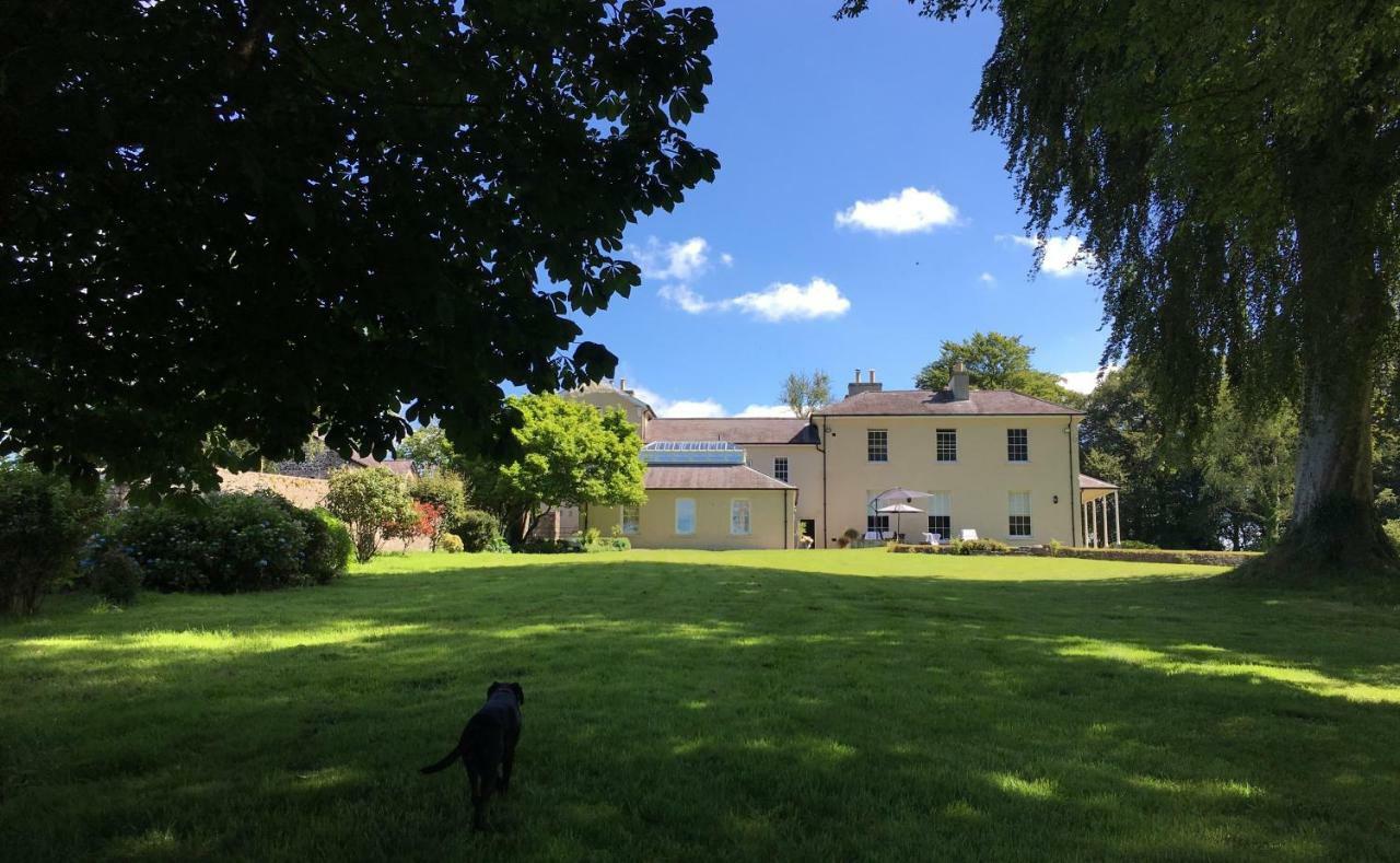 Llwynhelig Manor Bed and Breakfast Llandeilo Exterior foto
