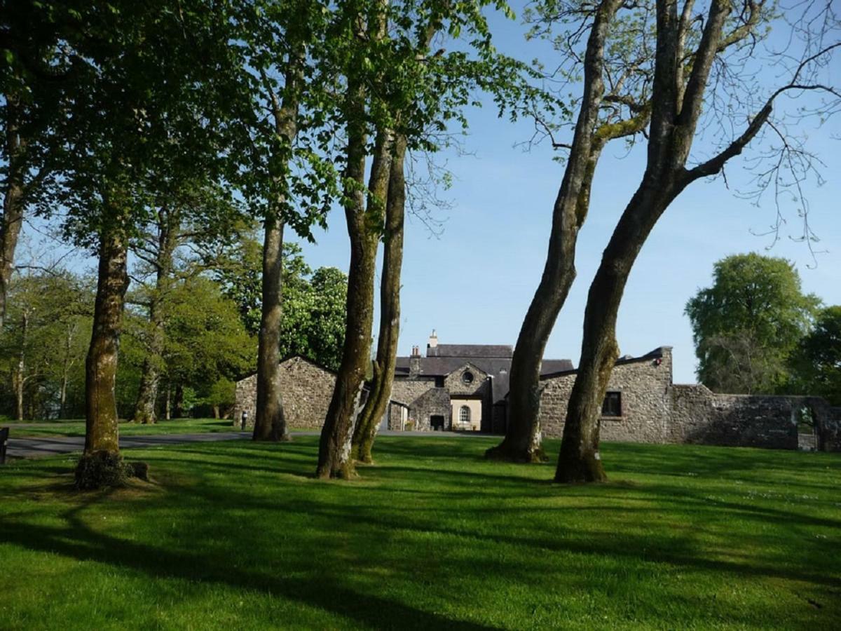 Llwynhelig Manor Bed and Breakfast Llandeilo Exterior foto